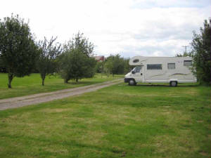 A motorhome on a grass pitch beside the track and the fruit trees