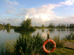 The fishing lake next door, with a life ring on the bank